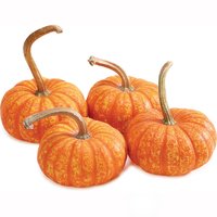 Pumpkins - Orange Sparklers