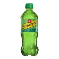 Schweppes - Ginger Ale, 591 Millilitre