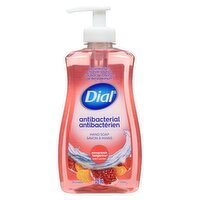 Dial - Antibacterial Hand Soap P&T, 325 Millilitre