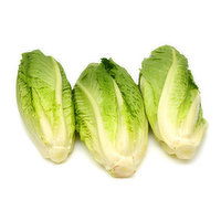 Lettuce - Romaine Hearts 3Pk