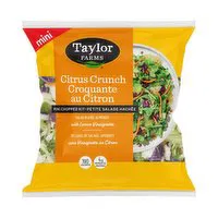 Taylor Farms - Citrus Crunch Mini Chopped Salad Kit