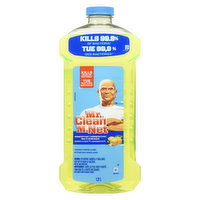 MR CLEAN - Mr Clean Liquid Antibacterial Smmr, 1.21 Litre