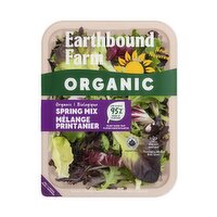 Earthbound Farm - Organic Spring Mix Salad, 142 Gram