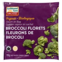 Earthbound - Organic Frzn Broccoli Florets, 255 Gram