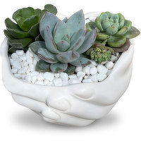 Succulents - Holding Hands Planter, 1 Each