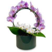 Save-On-Foods - Infinity Circle With Wild Orchids, 1 Each