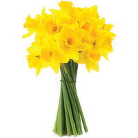 Daffodils - Floral Bunch, 1 Each