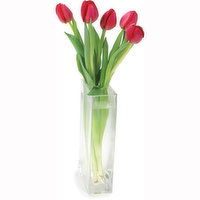 Tulips - Assorted Colours, 5 Stem, 1 Each