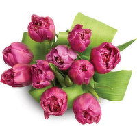 Tulips - 10 Stem Bouquet, Hot House, 1 Each