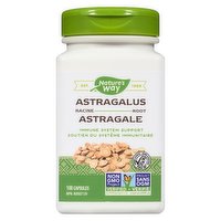 Nature's Way - Astragalus Root, 100 Each