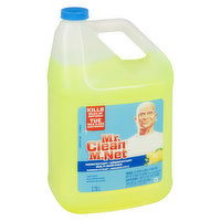 Mr. Clean - Multi Purpose Cleaner Summer Citrus