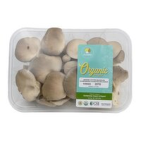 Fresh - Organic Oyster Mushrooms, 227 Gram