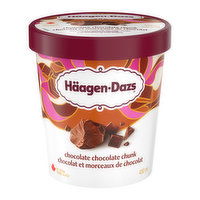 Haagen-Dazs - Chocolate Chocolate Chunk, 450 Millilitre