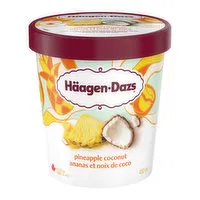 Haagen-Dazs - Pineapple Coconut Ice Cream, 450 Millilitre