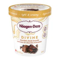 Haagen-Dazs - Divine Chocolate Brownie Ice Cream