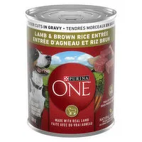 Purina - One Tender Cuts in Gravy Lamb & Brown Rice Entree, Wet Dog Food, 368 Gram