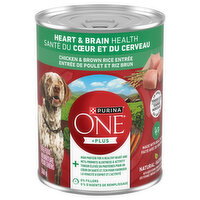 PURINA - ONE+Plus Tender Cuts In Gravy Heart & Brain Health Chicken & Brown Rice Entre Dog Food, 368 Gram
