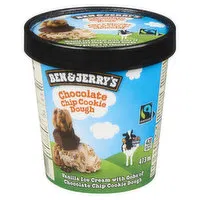 Ben & Jerry's - Chocolate Chip Cookie Dough, 473 Millilitre