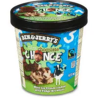 Ben & Jerry's - Mint Chocolate Chance Ice Cream