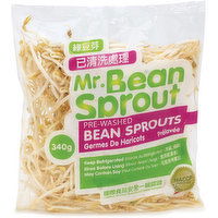 Bean - Sprout, 340 Gram