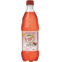 Canada Dry - Diet Cranberry Ginger Ale, 500 Millilitre