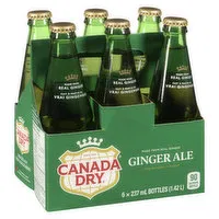 Canada Dry - Ginger Ale