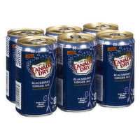 Canada Dry - Ginger Ale Blackberry, 6 Each