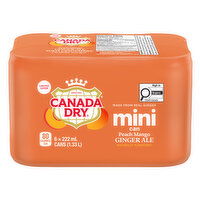 Canada Dry - Ginger Ale - Peach Mango 6x222mL, 6 Each