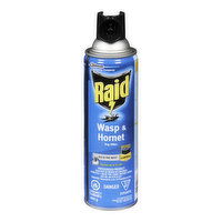 Raid - Wasp & Hornet Bug Killer, 400 Gram