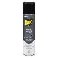 Raid - Spider Blaster Bug Killer Spray, 350 Gram