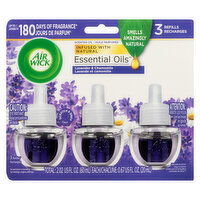 Air Wick - Scented Oil Refill 3X20ml Lavender, 1 Each