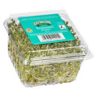 Eatmore - Organic Broccoli Sprouts, 60 Gram