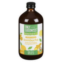 Only Goodness - Organic Kombucha - Lemon Ginger, 500 Millilitre