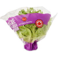 Western Family - Multileaf Trio Living Lettuce, 1 Each