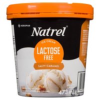 Natrel - Ice Cream Lactose Free Salty Caramel, 473 Millilitre