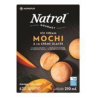 Natrel - Gourmet Mango Ice Cream Mochi, 6 Pack, 210 Millilitre