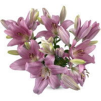 Lily Hybrid - Bunch, Fresh Cut, 1 Each