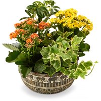 Safari Elephant - Planter, 8in, 1 Each