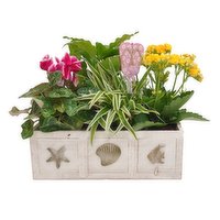 Save-On-Foods - Floral - Seaside Planter, 1 Each