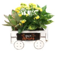 Planter - Rustic Metal Planter 8IN, 1 Each