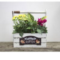 Planter - Autumn Harvest Tool Box, 1 Each