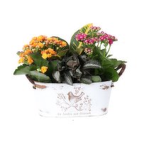 Planter - Lejardin, 1 Each