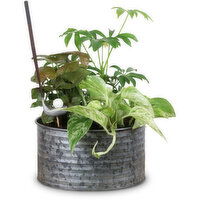 Planter - Galvanized Planter, 1 Each