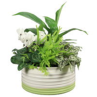 Planter - Green Bottom 8Inch, 1 Each