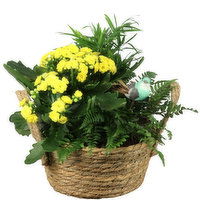 Natural - Basket 7In, 1 Each