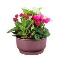 Noelle - Planter, 8 Inch, 1 Each