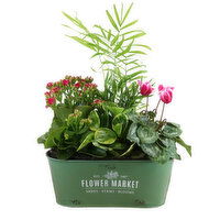 Potted Plants - Flower Market Planter 6x11, 1 Each