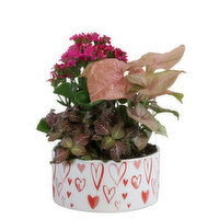 Red Hearts - Planter 7 Inch, 1 Each