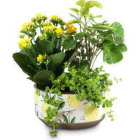 Flowering Garden - Lemon Planter, 8in, 1 Each