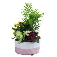 Planter - Ceramic 8In, 1 Each